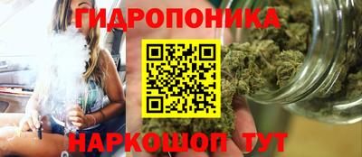 молекула духа Чебоксары
