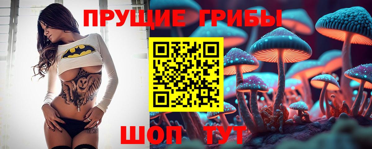 Псилоцибиновые грибы MAGIC MUSHROOMS  Вход с VPN  Назрань 
